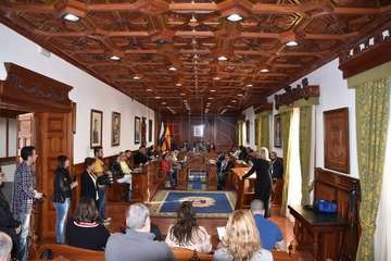 La investigadora Alejandra Sanjuan reclama en el Pleno de Telde un 